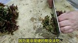 厨师长教你香椿炒蛋正确做法，记住两个小技巧，鸡蛋鲜嫩香味浓