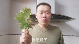 春季吃香椿，很多人第一步就错了。大厨教你香椿的两种家常做法！