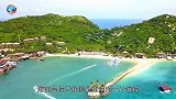 海南一海岛发现大量野牛，来历一直不明，专家从牛粪中得到了答案