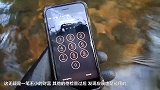 男子在河里捞出来4部Iphone手机 网友：还能用不？