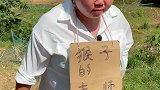 农村搞笑段子，猴子的老师路过。吓的猴子躲了起来