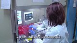 艾滋病起源于猩猩，可为什么会传播给人类呢？看完头皮发麻