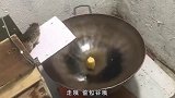 四川话搞笑配音铁锅上的老鼠团团转！每日一笑欢乐有