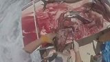 视觉享受，船员分解金枪鱼，刀法纯熟。