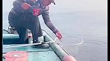 海钓墨鱼手感好爽，就是这抄鱼的时候必须时刻提防着它的高压水枪