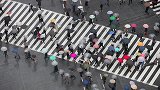 中国单身成年人口超2亿：会形成孤独经济