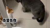 在绝对的力量面前，技巧显得不堪一击