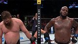 UFC-16年-格斗之夜90：重量级内尔森vs刘易斯集锦-精华