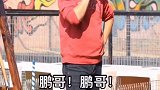 狗狗中毒如何处理。把你的问题留言也许下一集就是为你拍摄的。关注流浪犬 帝中海犬舍