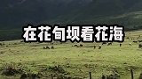 大理旅行一定要做的六件事