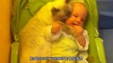 大猫第一次见到小宝宝，紧紧搂住宝宝，网友称：暖心猫