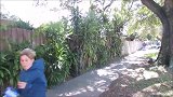 在街边伪装成植物捉弄路人，路人非常的尴尬