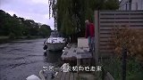 小天鹅被铁丝网困住，老人伸出援手，下一秒天鹅妈妈的行为让人感