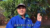烧烤啤酒给迈克送行，第一次看羊肉这样烤，问中国美食有多少？