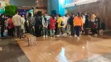 河南小夫妻穷游中国，女儿和老婆在丽江古城打手鼓，真的热闹