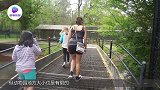 公鹿突然靠近摄影师，不断用“铁头功”顶撞，最后惨剧降落！