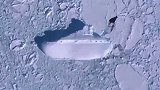 南极气温升高冰层底下新发现一百多米长的神秘“冰船” 未解之谜