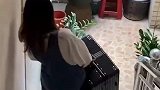 女生将行李箱搬下楼，结果重心不稳不小心摔倒
