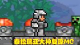 泰拉瑞亚大神复原MC，各种生物应有尽有，还仿造了钻石剑