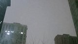 他朝若是同淋雪，此生也算共白头.冬天该有的样子