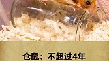 你知道它们能陪你多久吗