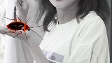 是不是抓住了蝉，就能抓住整个夏天，你想多了