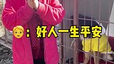 希望每个狗狗都能得到关爱