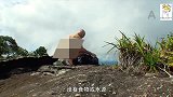 荒野：德爷挑战荒野生存十天，自制烧烤架烤肉随便吃
