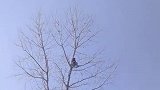 没有什么可以阻挡我开黑