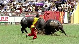 史上最精彩牛王争霸赛，“牛王”获50万元奖金