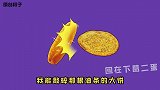 因为争执索隆和路飞谁最厉害，我和舍长差点打起来