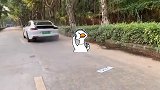 混动也可以这么狂