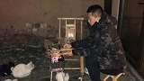 惊!恒大球星落选国家队 现身农家乐变烤串师傅被猫星人围堵
