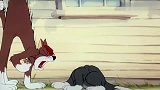 猫和老鼠坏猫抓到杰瑞，正准备吃掉它，却被杰瑞跑掉了