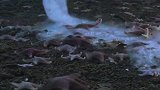 “死亡冰柱”！一场不可抵挡的灾难，所到之处无一生还！