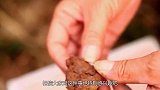 古墓未遭破坏却被“发掘”，墓中发现之物，如今仍严令禁止出国！