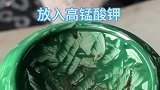 高锰酸钾猛烈燃烧这是什么化学原理