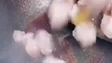 红烧肉又失败了