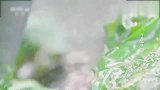 她们用自己的青春织就嫁妆，每一个细节都决定了织品的优劣！