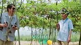 “向往家族”成员都是光脚穿拖鞋，张子枫却不同，女星牌面无疑了