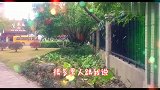 情感语录：人一旦变了心，真的追不回来，说出多少男女的心声