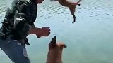 天气这么热，那就给我家狗子们降降暑吧，走你！