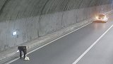 重庆：隧道内车辆爆胎，司机拿柚子当警示牌结果