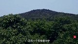 我国龙脉上埋了3人，一个不敢挖，一个挖不开，一个有神兽守护！