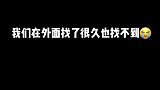 最后的眼神太心疼了萌宠新春出道 2021新春日记 金毛