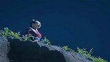 遇龙：流萤为等龙王终身未嫁，只为一个承诺！