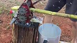 农民自制榨汁机，方便快捷