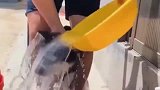哈士奇：今天你强迫我洗澡，等你上班了，我让你洗整栋房子