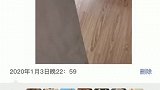 来我房间这猫太会玩了