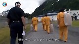 世界上最神奇的监狱，罪犯进来时一贫如洗，出狱后变富豪